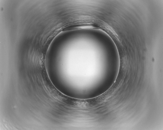 X0000088040073200705111241