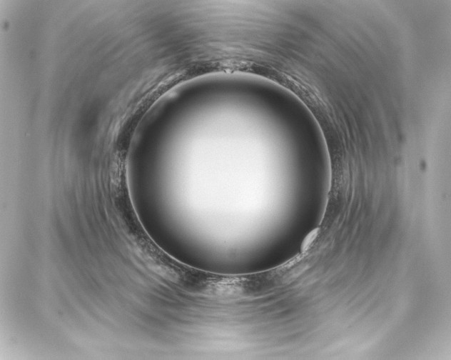 X0000088040078200705111241