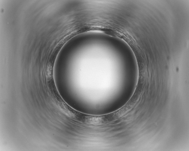 X0000088040081200705111241