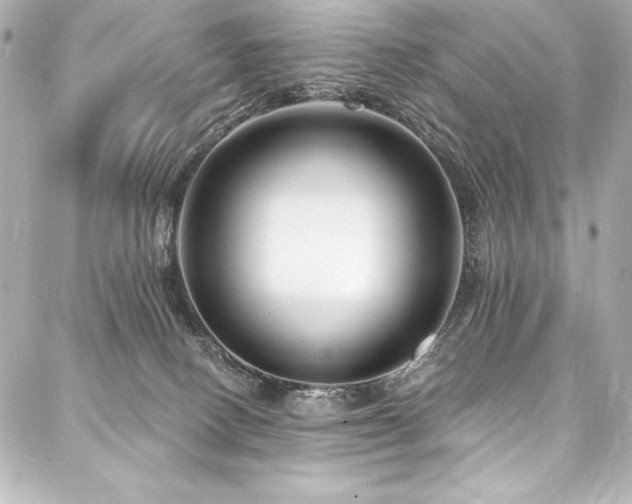 X0000088040082200705111241