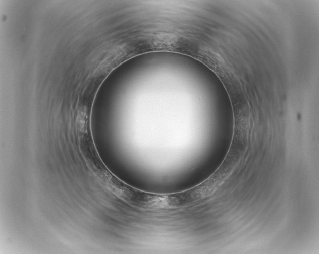 X0000088040083200705111241