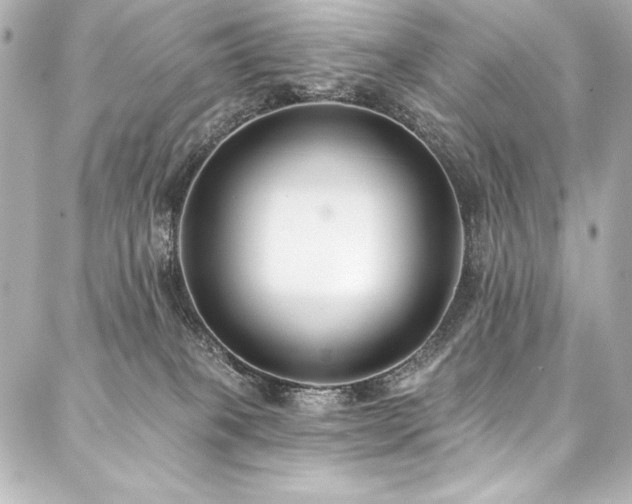 X0000088040085200705111241