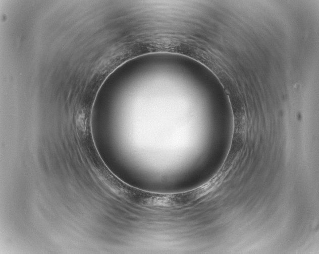 X0000088040086200705111241