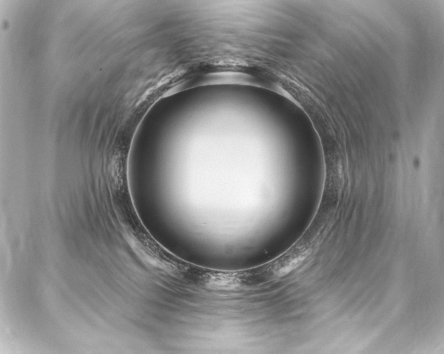 X0000088040088200705111241
