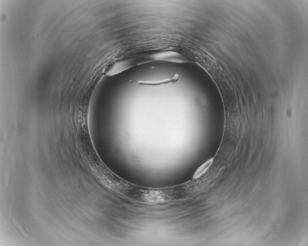 X0000088040091200705111241