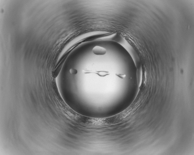 X0000088040093200705111241