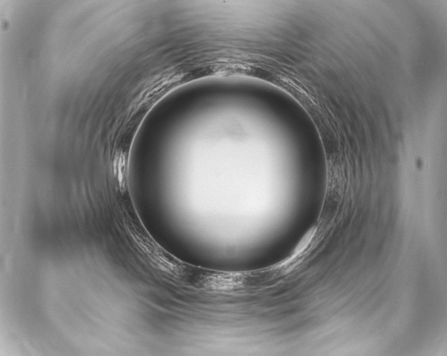 X0000088040094200705111242