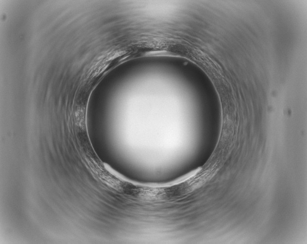 X0000088040096200705111242