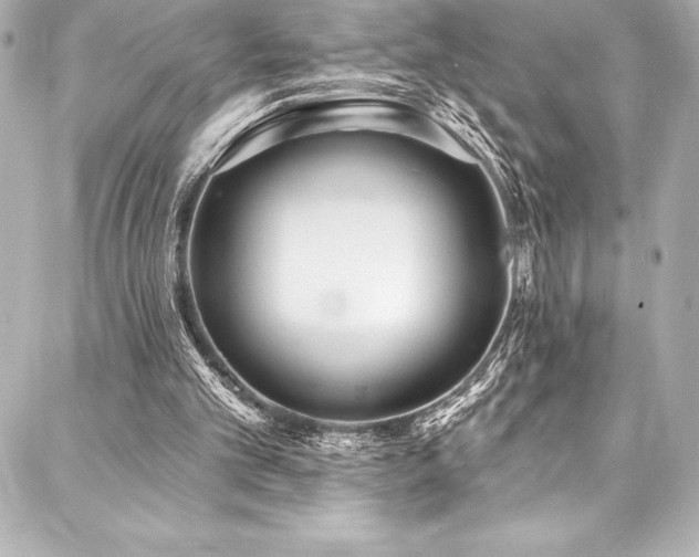 X0000088040101200705111241