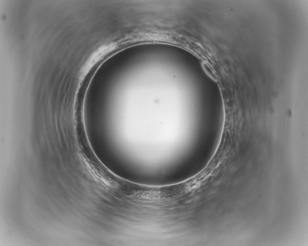 X0000088040104200705111241