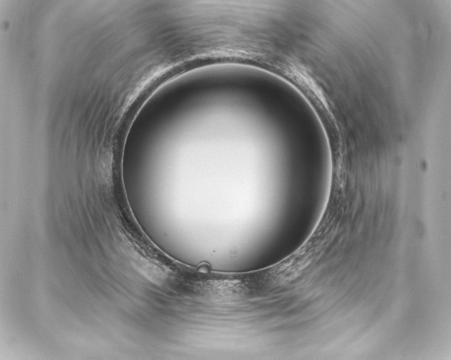 X0000088040108200705111241