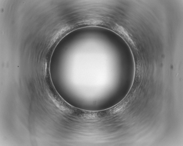 X0000088040110200705111241
