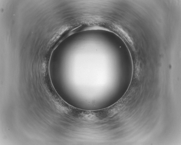X0000088040113200705111241