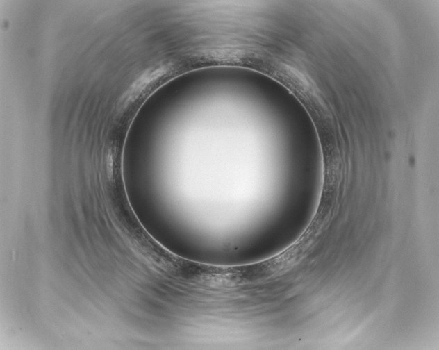 X0000088040120200705111240