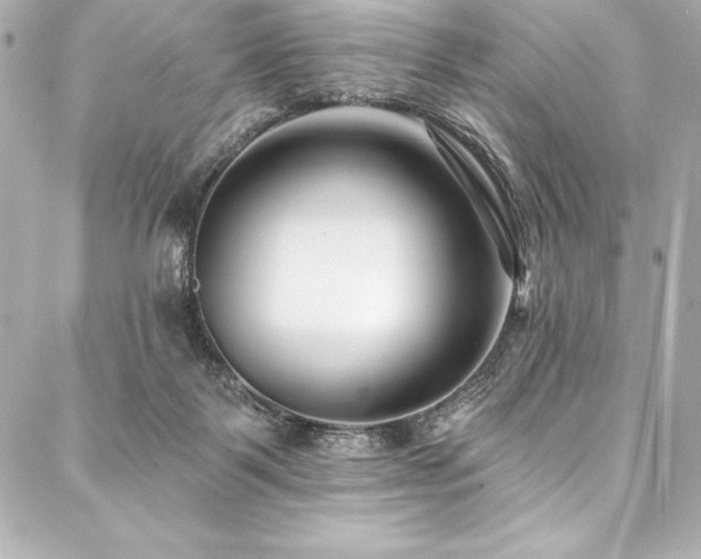 X0000088040123200705111240
