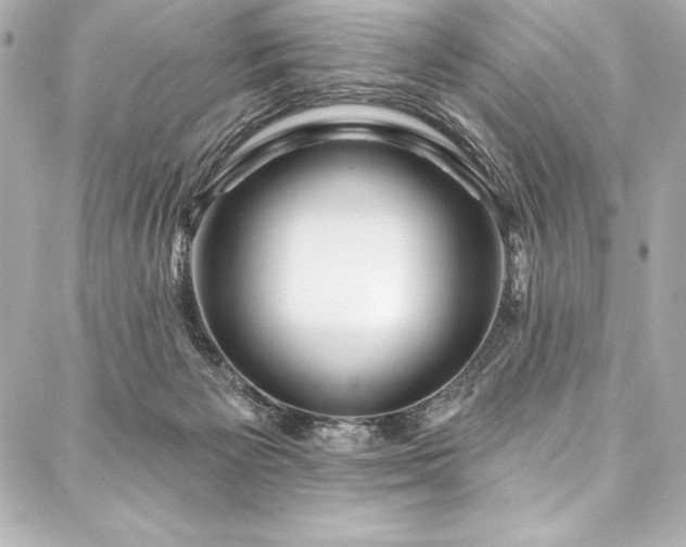 X0000088040125200705111240