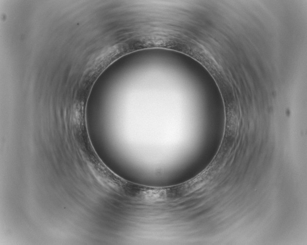 X0000088040126200705111240