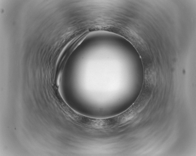 X0000088040127200705111240