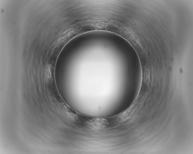 X0000088040128200705111240