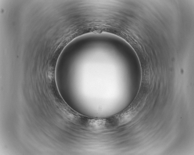 X0000088040135200705111240