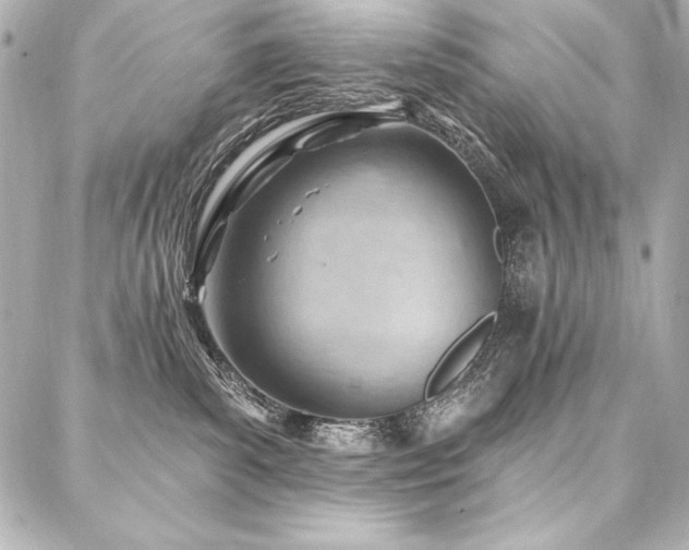 X0000088040139200705111240