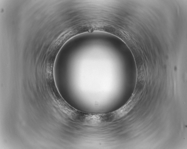 X0000088040140200705111240