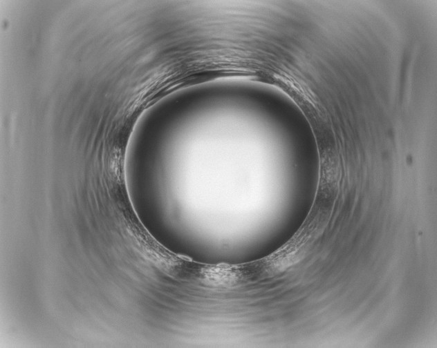 X0000088040141200705111240