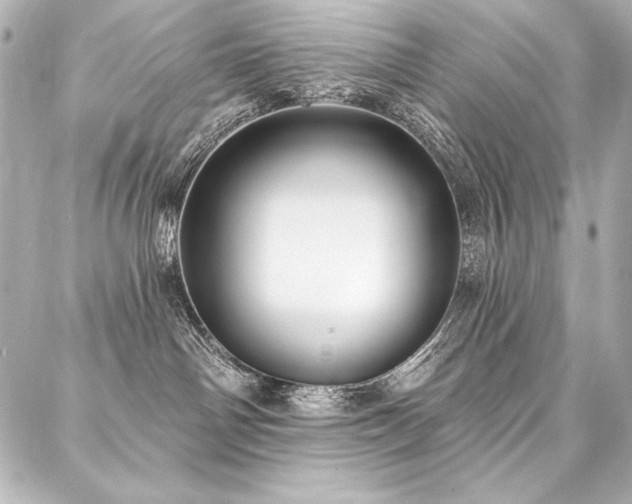 X0000088040142200705111240