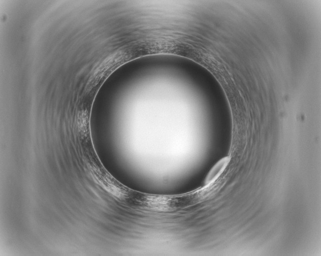 X0000088040144200705111240