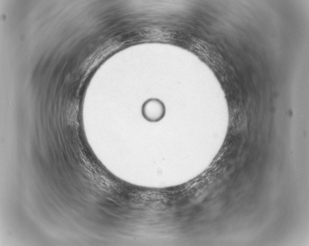 X0000088040146200705111239