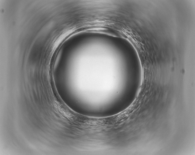 X0000088040147200705111239