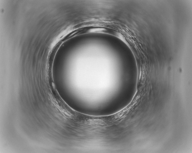 X0000088040150200705111239