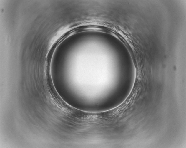 X0000088040152200705111239