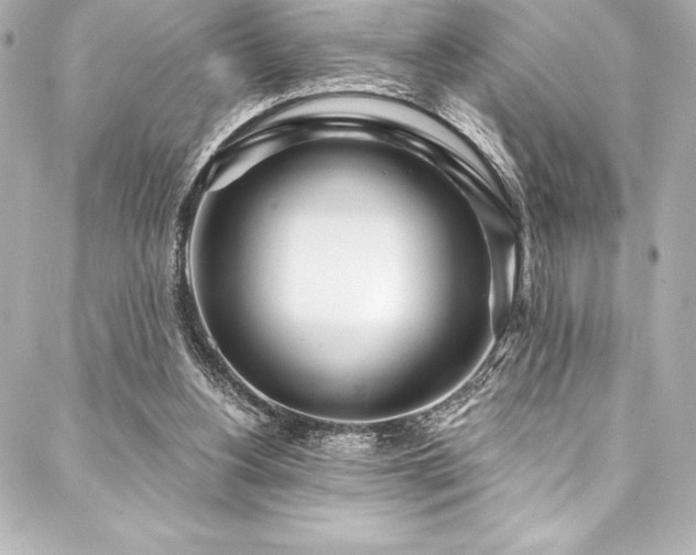 X0000088040156200705111239