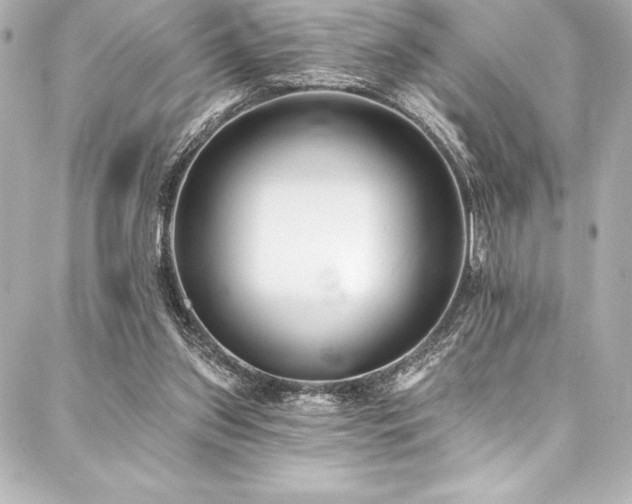 X0000088040157200705111239