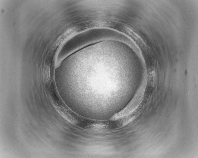 X0000088040158200705111239