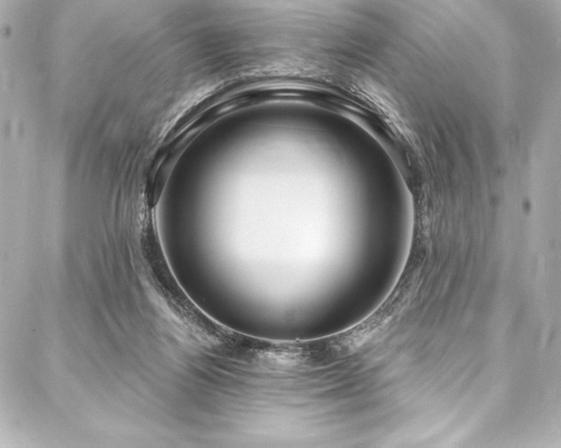 X0000088040164200705111240