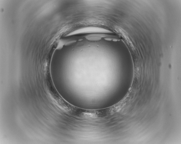 X0000088040167200705111240