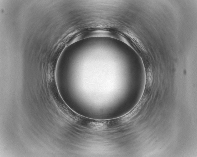 X0000088040170200705111240