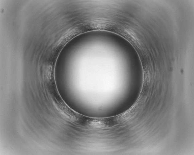 X0000088040171200705111240