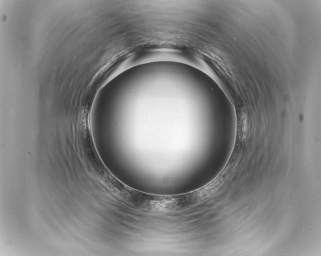 X0000088040172200705111240