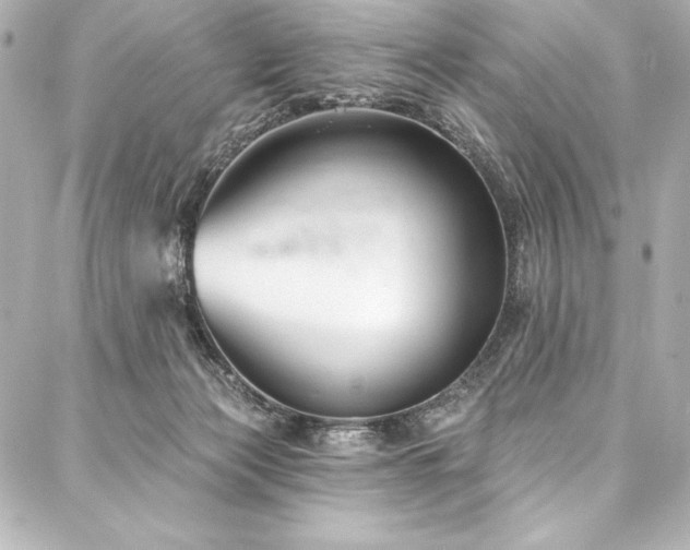 X0000088040173200705111240