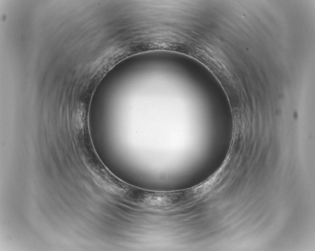 X0000088040174200705111240