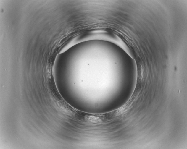 X0000088040180200705111240