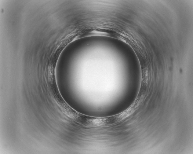 X0000088040184200705111240