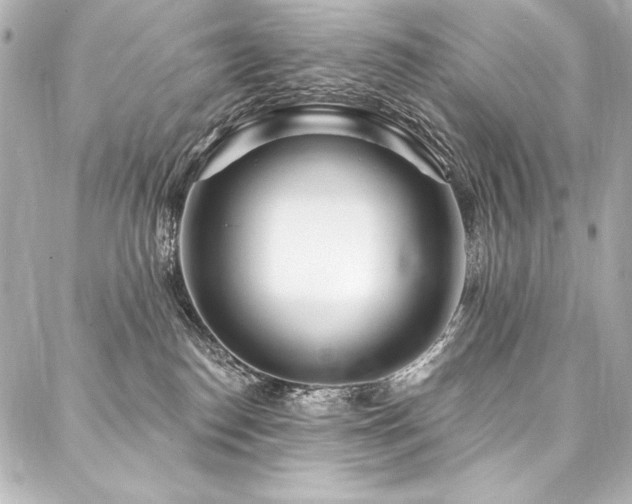X0000088040186200705111240