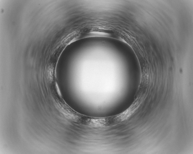 X0000088040188200705111240