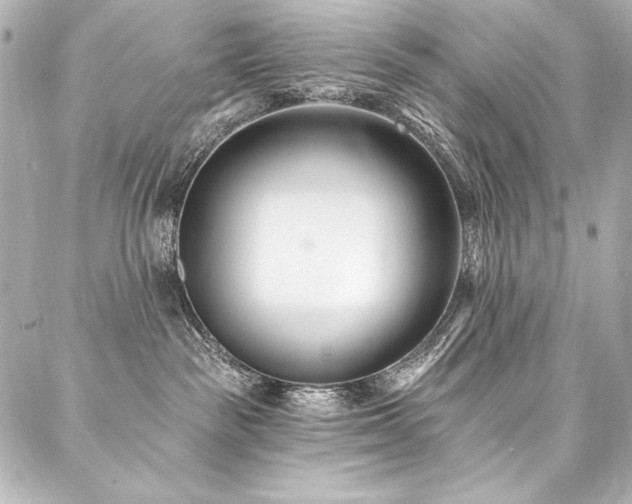 X0000088040189200705111240