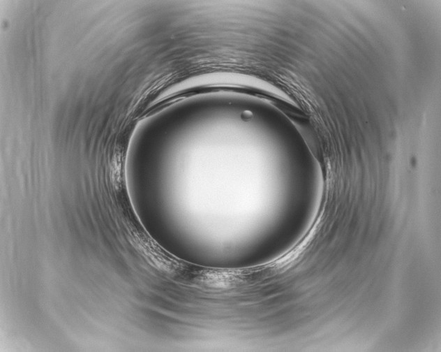 X0000088040190200705111240