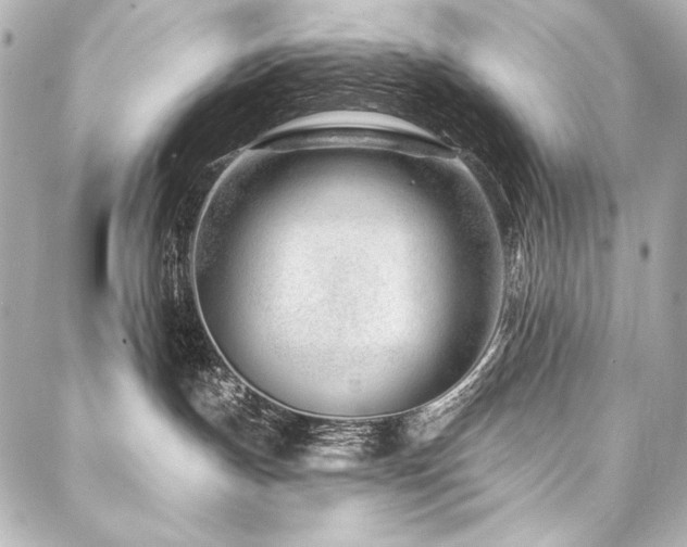 X0000088040191200705111240